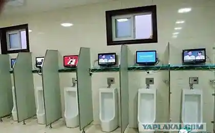 Телек в туалете