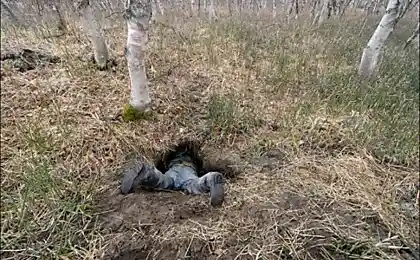 Берлога