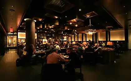 Experiment: What affects the lighting in the restaurant
