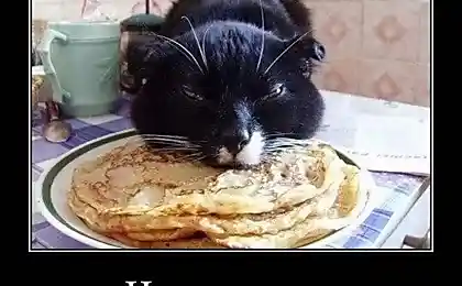 Намажь икры, сука!