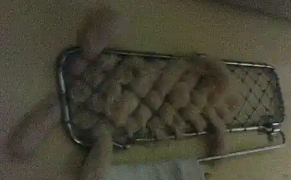 Мы везем с собой кота