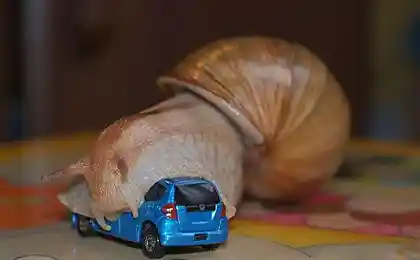 Вкусняшка