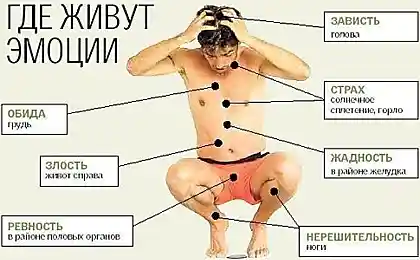 Где живут эмоции.