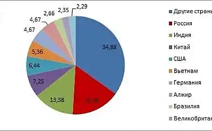Nuestros hijos en internet