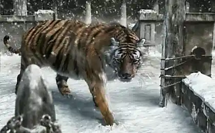 Рисунки