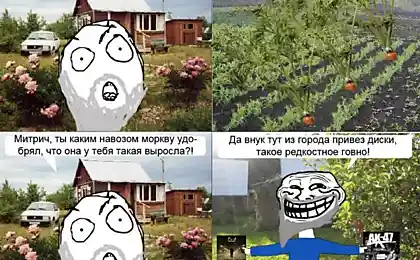 Мир, труд, май