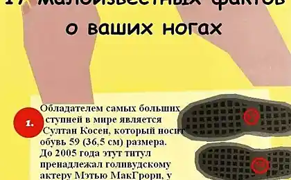 Что мы знаем о ногах