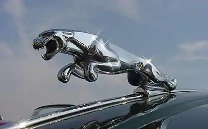Jaguar (Made in Taiwan)
