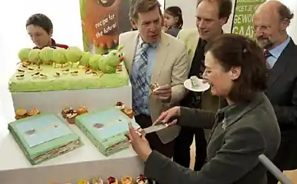 Пирожные из насекомых