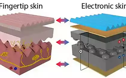 Искусственная кожа с имитацией отпечатков пальцев распознаёт нажатия, температуру и даже звук