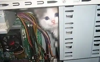 Найдено новое устройство ...)))