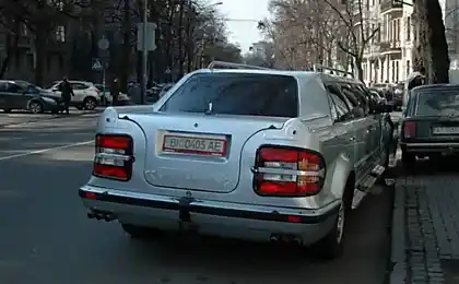 Домашній український лім