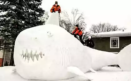 Самые впечатляющие снежные скульптуры во дворе