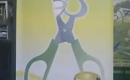 Яйцерезка для мажоров