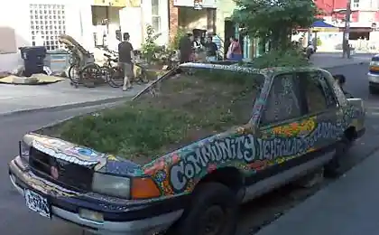 Клумба из авто (6 фото)