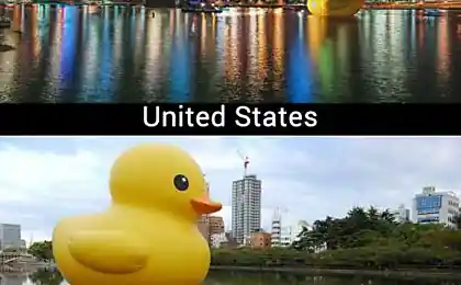 The World’s Largest Rubber Duck Travels The World