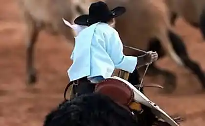 Monkey rodeo (3 фото)