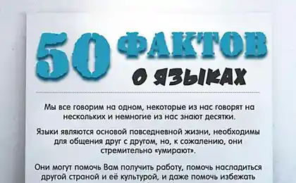 Интересные факты о языках