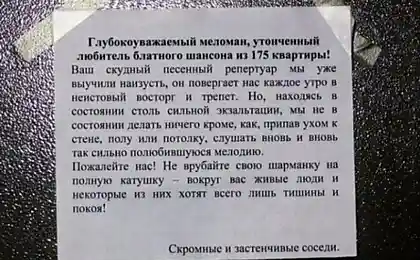 Смешные надписи в подъездах