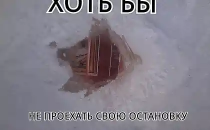Любители общественного транспорта поймут
