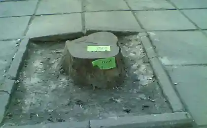 Суровая Херсонская реклама