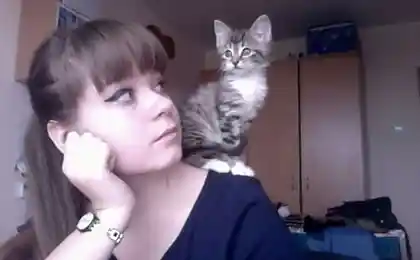 Кто у девушки на плече?