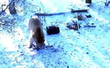 Съездили с другом на рыбалку...