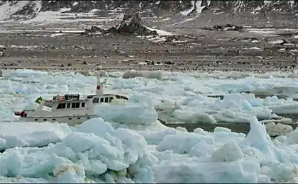 Драма wa ladah
