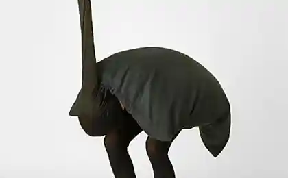 Будь животным...