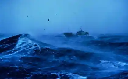 В борьбе со штормом