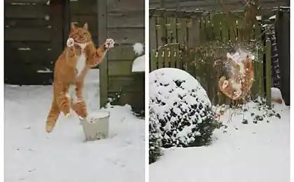 Зимние забавы с Рыжиком во дворе!