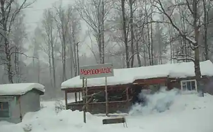 Морддональдс