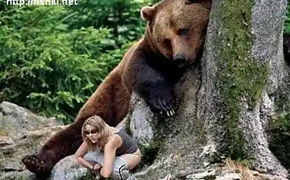 Животные дикие...