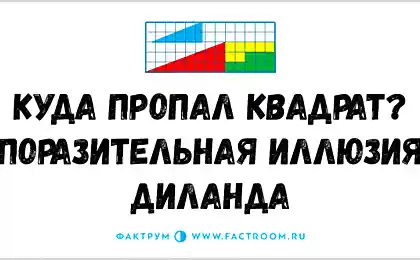 Куда пропал квадрат? Поразительная иллюзия ДиЛанда