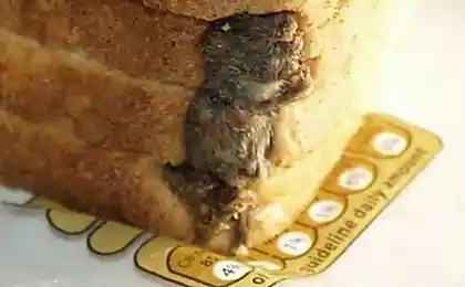 М'ясо хліба
