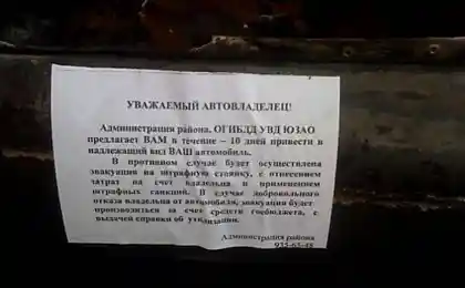 Срочно привести в порядок (3 фотографии)