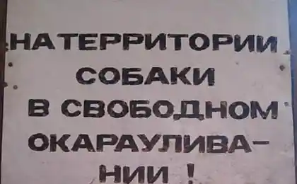 20+ Злобных Табличек, Которое Отобьют Все Желание Войти