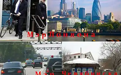 Сравните