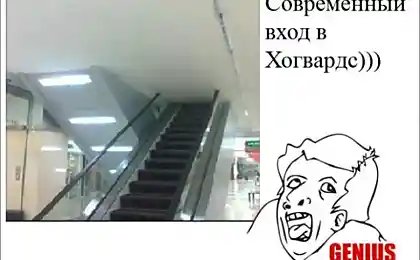 Удачной дороги в лепешку XD