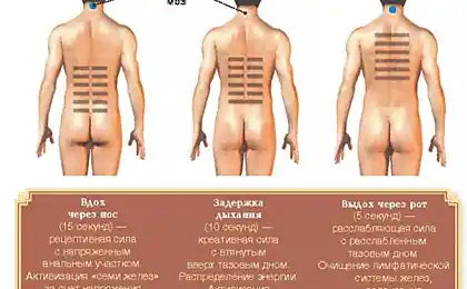 Таоіст вправи для сексуального здоров'я та довголіття