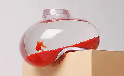 Дизайн аквариумов