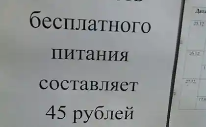 Анонс школи.