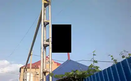 Птахи також люди.