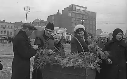 Московська соєва