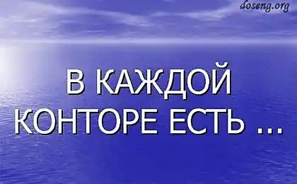Офисные животные. Забавно )