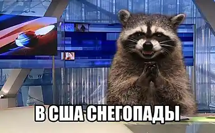 Реакция Первого канала