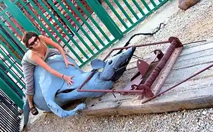 Дворик в Израиле