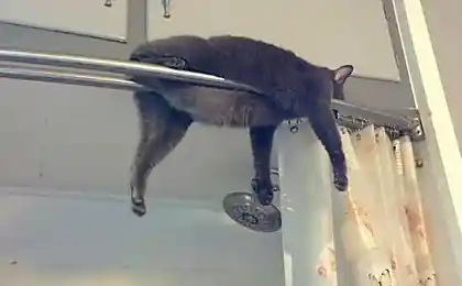 А че? Удобно