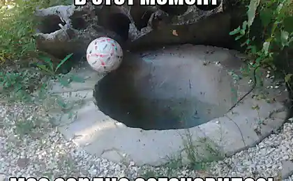 Багато людей зробили.