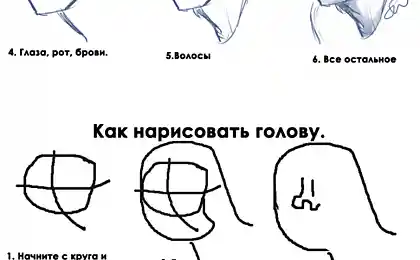 Як намалювати голову